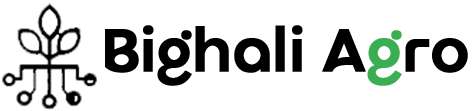 BIGHALI